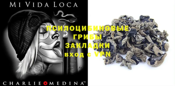 не бодяженный Арсеньев