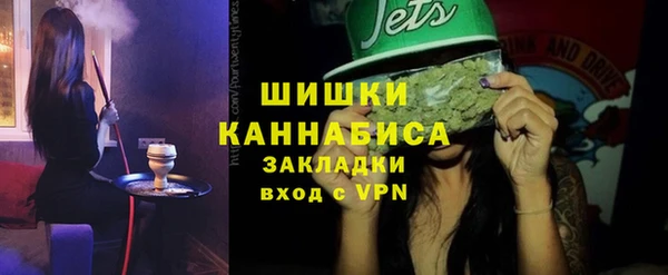 шишки Усолье-Сибирское